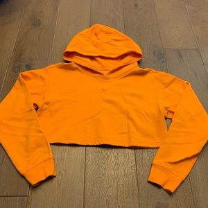 Lululemon Tiger All yours cropped hoodie size 6